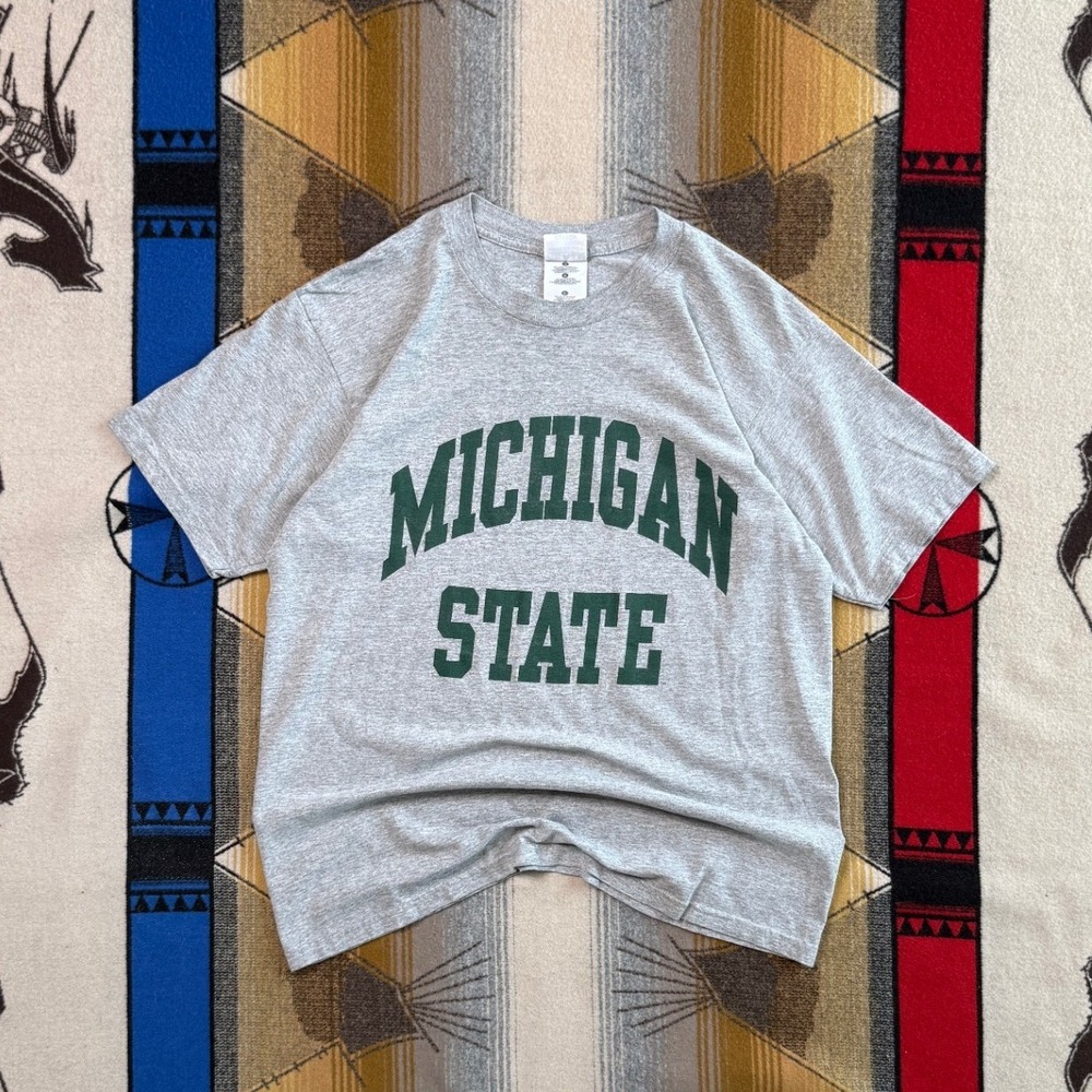 Gildan Michigan State T Shirt Mens L Gray Heavyweight Cotton NCAA College Tee